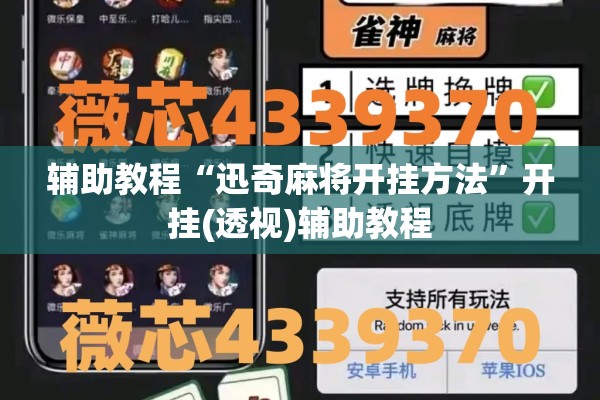 安装程序教程“心悦填大坑辅助”开挂(透视)辅助教程