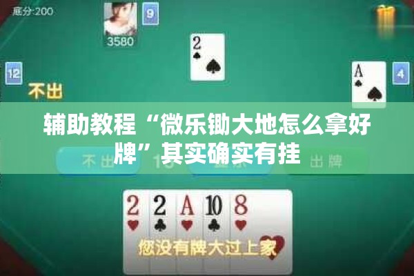 玩家辅助神器:微乐卡五星怎么开挂”开挂(透视)辅助神器