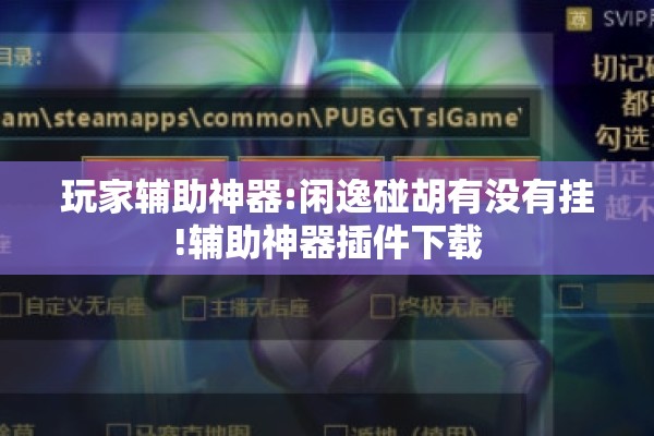 玩家辅助神器:闲逸碰胡有没有挂!辅助神器插件下载