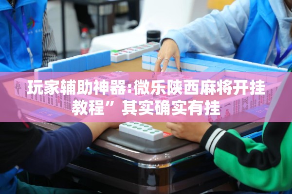 玩家辅助神器:微乐陕西麻将开挂教程	”其实确实有挂