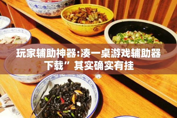 玩家辅助神器:凑一桌游戏辅助器下载	”其实确实有挂