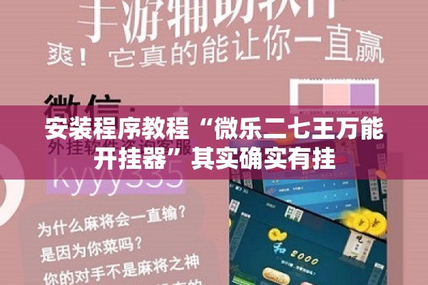 安装程序教程“微乐二七王万能开挂器”其实确实有挂