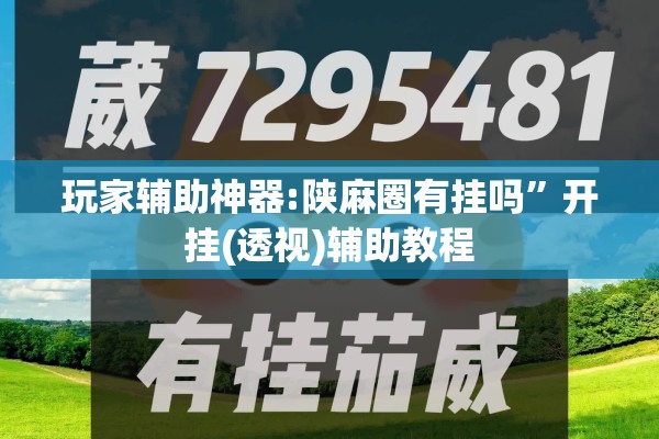 辅助教程“大圣大厅可以开挂作弊软件吗”开挂辅助脚本+详细开挂安装教程