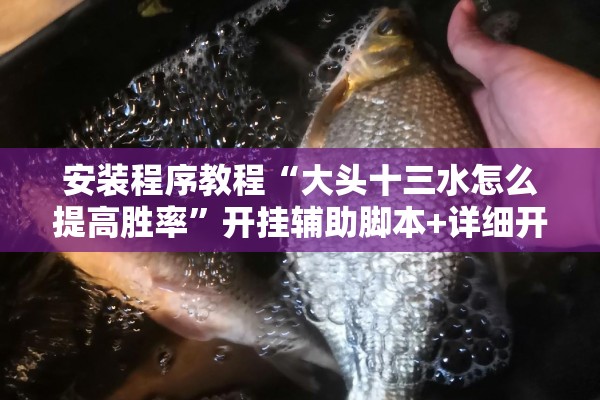 安装程序教程“大头十三水怎么提高胜率”开挂辅助脚本+详细开挂安装教程