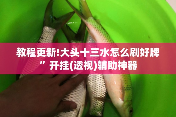 安装程序教程“决胜麻将有没有挂”(透视挂)辅助透视教程