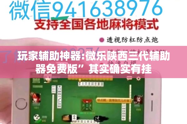 玩家辅助神器:微乐陕西三代辅助器免费版”其实确实有挂