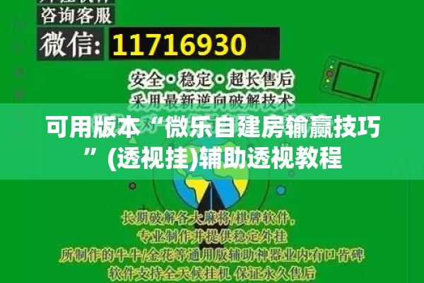 可用版本“微乐自建房输赢技巧	”(透视挂)辅助透视教程