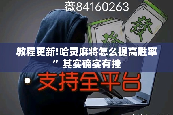 安装程序教程“手机十三水为什么一直输”开挂辅助脚本+详细开挂安装教程