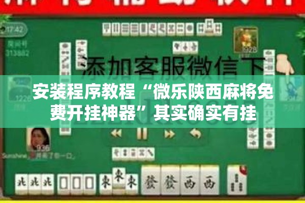 [教程经验]“微乐二七王开挂神器”分享装挂详细步骤