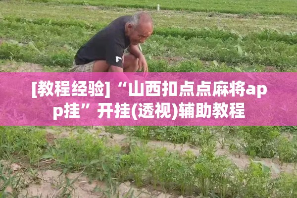 【运输公司疫情放假方案,运输公司疫情放假方案模板】
