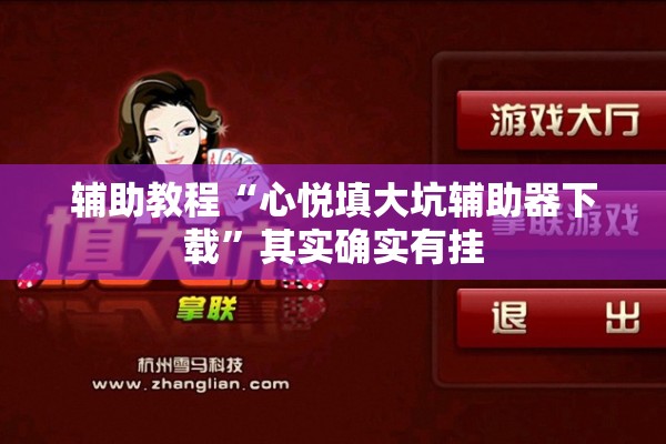 辅助教程“心悦填大坑辅助器下载”其实确实有挂