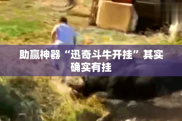 助赢神器“迅奇斗牛开挂”其实确实有挂