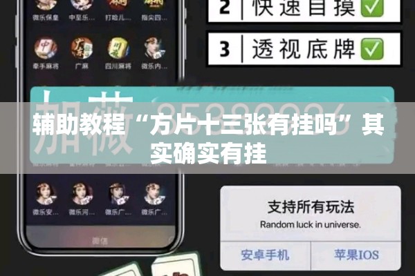 辅助教程“方片十三张有挂吗	”其实确实有挂