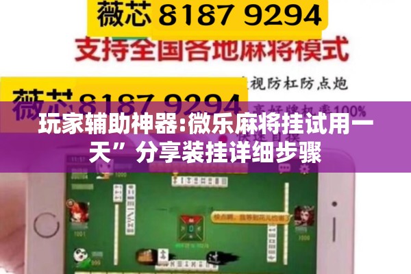 玩家辅助神器:微乐麻将挂试用一天	”分享装挂详细步骤