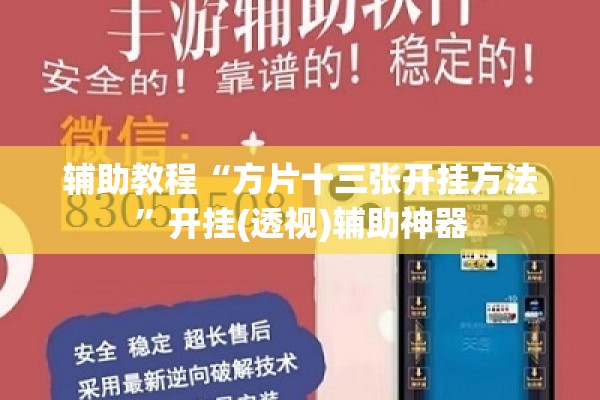 辅助教程“方片十三张开挂方法”开挂(透视)辅助神器