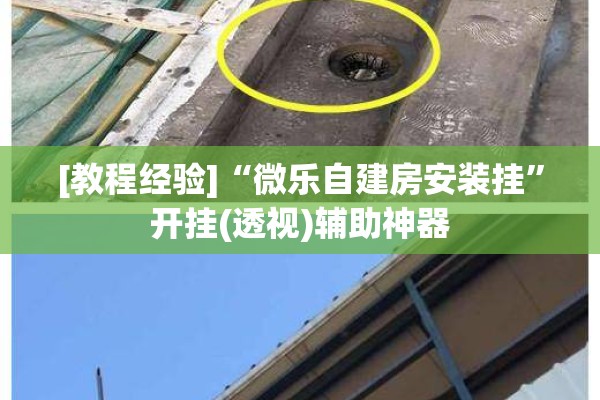 [教程经验]“微乐自建房安装挂	”开挂(透视)辅助神器