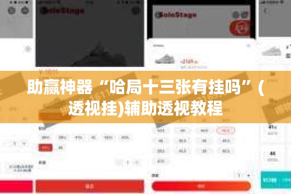 助赢神器“哈局十三张有挂吗”(透视挂)辅助透视教程