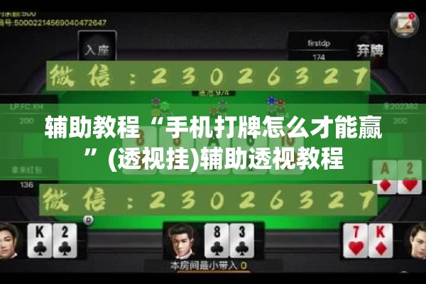 安装程序教程“微乐亲友房辅助器!辅助神器插件下载
